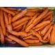 carotte de conservation bio 1kg