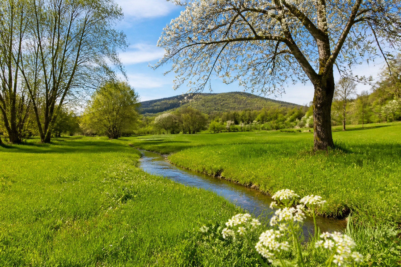 Comment tu vas gérer tes vacances et tes jours off ?
